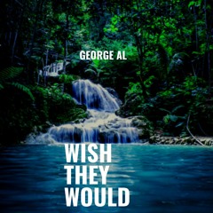 Wish They Would