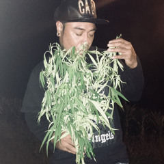 Jfurak