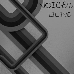 Voices (Prod by. Hamrah)