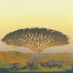 [Premiere] Sub Accent - Sagittarius A (out on Accents Records)