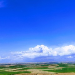 آبی- سیمین قدیری