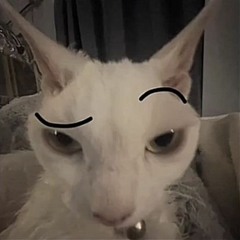 Kendrick Lamar - Swimming Pools [TikTok Best Part/Speed Up]