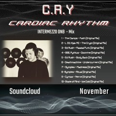 C.R.Y (CARDIAC RHYTHM) - INTERMEZZO DNB NOVEMBER MIX 2024