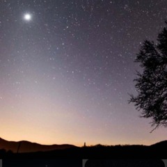 MORNING STAR