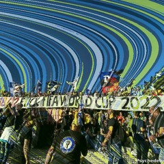 FUCK FIFA WORLD CUP 2022