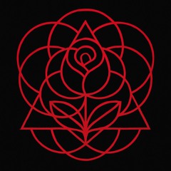 Electric Rug - LADYRO$E - (Original Mix-Extended)