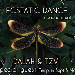DALAH ⟁ Ecstatic Dance #4 - Shivari @ Koh Phangan, Thailand (May 2025)