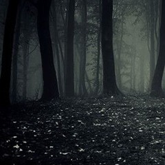 Dark Forest
