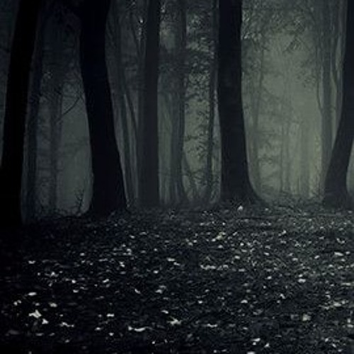 Dark Forest