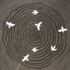 Premiere: alyrik — Rebirds [alyrik]