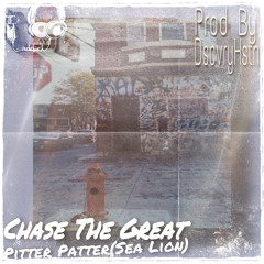 Pitter Patter (Sea Lion)