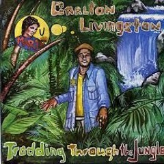 Carlton Livingston - Don't Follow Rumours