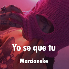YO SE QUE TU GUARACHA RMX