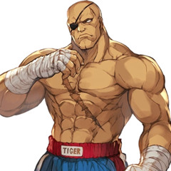 STREET FIGHTER 2 SAGAT THEME HIP HOP REMIX