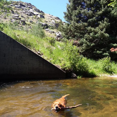 Let Me Know (Asheville, NC!)