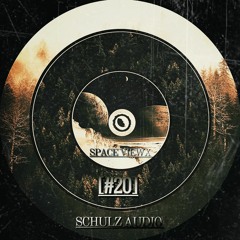 SPACE VIEWX [#20] Schulz Audio (Germany, Dub Techno)