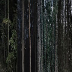 leslesles w/ fvkxd (prod. cloudly006)