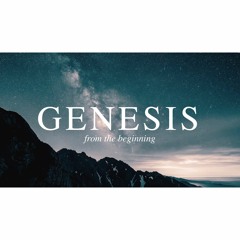 Genesis - God's Plan vs. Ours