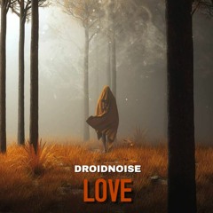 DROIDNOISE - LOVE (FREE DL)