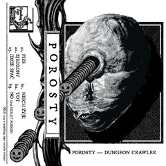 Porosty - Dungeon Crawler (SMA014)