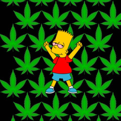 my own wrld