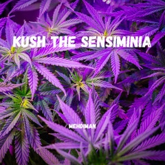 Mehdiman - Kush The Sensiminia