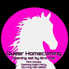 Burning Man Set // Pink Ponies Queer Homecoming