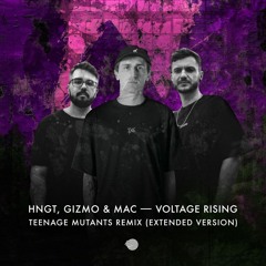 HNGT - Voltage Rising (Teenage Mutants Extended Remix)