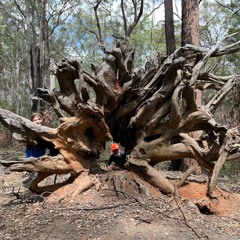 2024 Top Shelf Liquid D&B Mixes