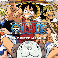 One Piece x Perfect Pitch, Rocco - Echo  MASHUP