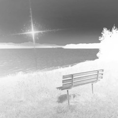 Solo ;( (prod. quintuple)