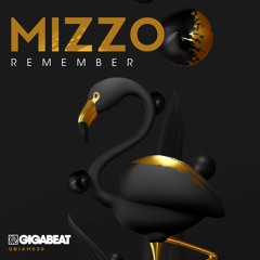 Mizzo - Remember