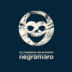 DIEGO - part 2