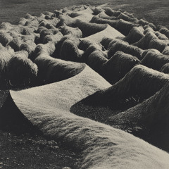 PREMIERE I Mina Lord - Sheep To Shepard [SUBVERTED]