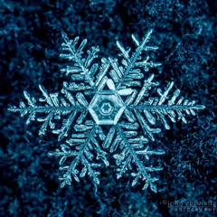 “BlueSnowFlake”-(Winter Instrumental)