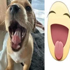 An2Anfr - nOSEQuEHacer (prod. 22nate)