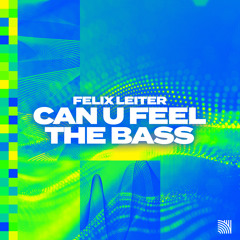Can U Feel the Bass