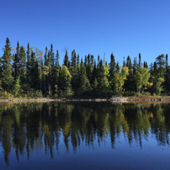 Ian_Guthrie_Almost_Boreal_June_2025