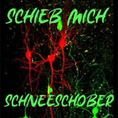 SCHIEB MICH