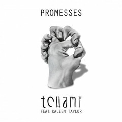 Promesses (Discohones Edit)