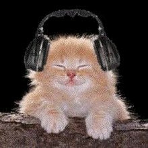 tothemoonjacob - pressure ft jayflow