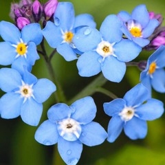 Reise durch den Körper