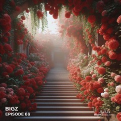 Right Frequency - Episode 66 - BiGz