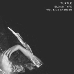 Blood Type (feat. Eliza Shaddad)