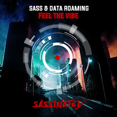 Sass & Data Roaming - Feel The Vibe