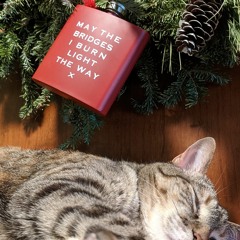 Christmastime Sucks These Days