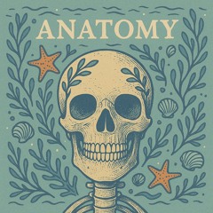 Anatomy