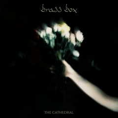 BRASS BOX - Ivory Skies