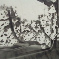 You’re So Paranoid You Definitely Know This Song Is About You