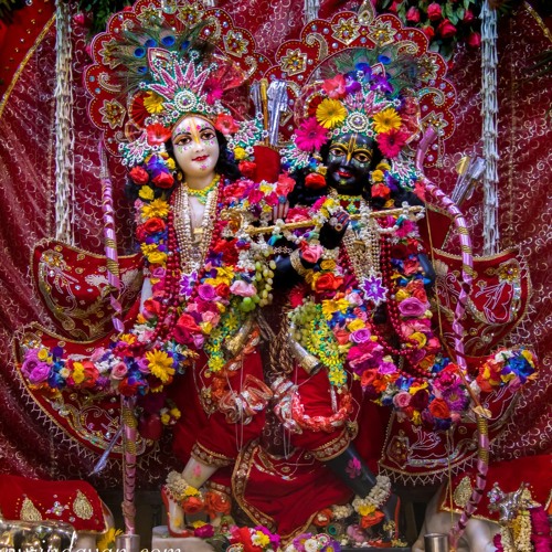 Pavan Nitai Chandra - Rama Navami Abhishek Kirtan - 10.4.22